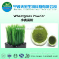 Hot selling certified organic wheatgrass powder organic wheat grass powder